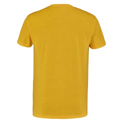 Maglietta Babolat Exercise Vintage gialla da uomo