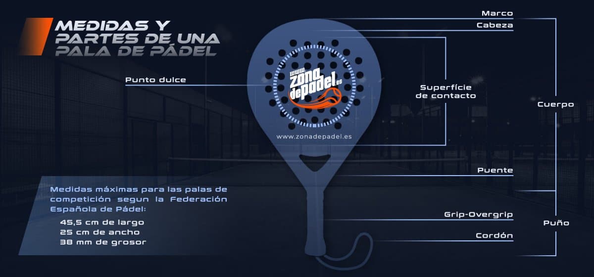 Dimensioni e misure di una pala di padel